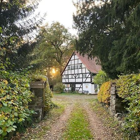 Wassermuehle Triglitz - Alleinlage Fuer Retreats, Workshops, Family & Friends Exterior photo
