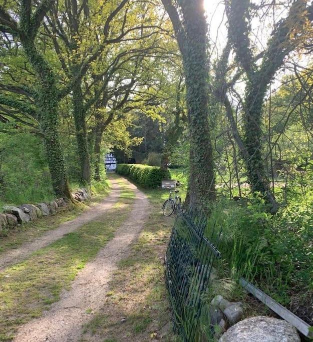 Wassermuehle Triglitz - Alleinlage Fuer Retreats, Workshops, Family & Friends Exterior photo