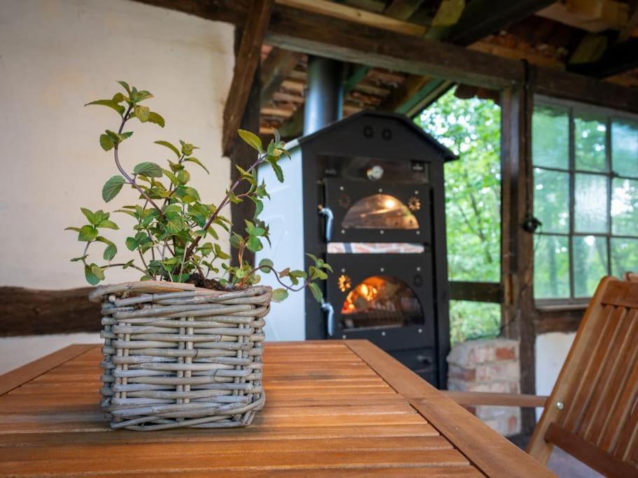 Wassermuehle Triglitz - Alleinlage Fuer Retreats, Workshops, Family & Friends Exterior photo